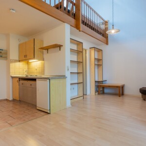 Wohn-Schlafbereich (1)