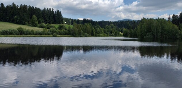 1-Zimmer-Wohnung - Gepflegte 1-Zimmer-Wohnung im Bayr.Wald/Haidmühle als Wohnsitz oder Ferienwohnung