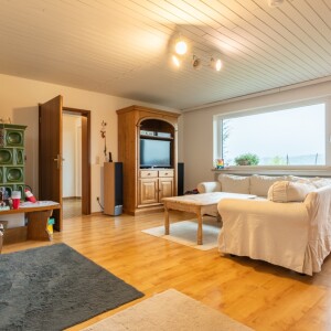 Wohnzimmer (1)
