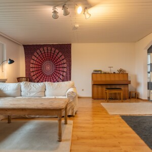 Wohnzimmer (2)