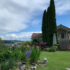 Ausblick Garten