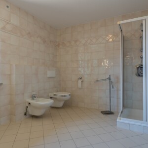 Tageslichtduschbad (1)