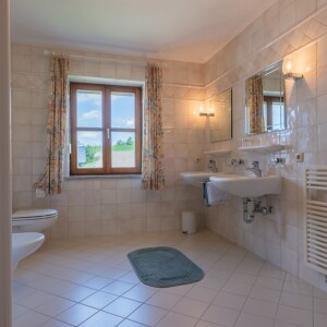 Tageslichtduschbad (1)