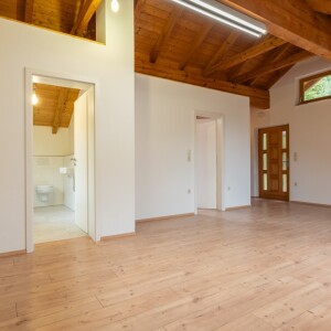 Wohn-Kochbereich (2)