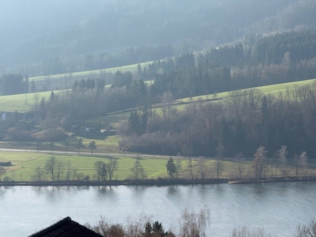 Obernzell - Obernzell: 1.731 m² Baugrund – Südhang – Adlerhorstlage - traumhafter Blick aufs Donautal
