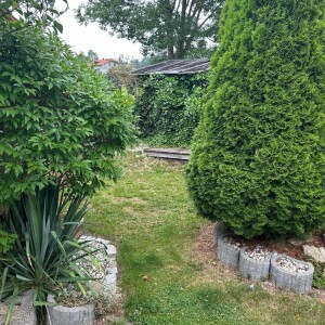 Garten (1)