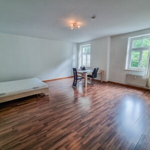 Wohn-Schlafbereich (1)