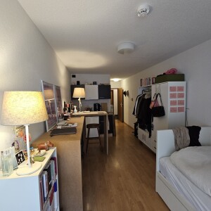 Wohn-Schlaf-Kochbereich (2)