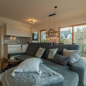 Wohn-Kochbereich (2)