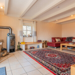 Wohnzimmer (1)