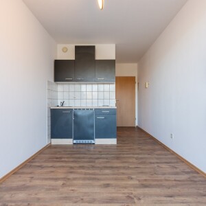 Wohn-Schlaf-Kochbereich (2)