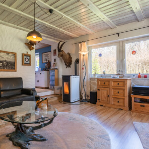 Wohnzimmer (1)