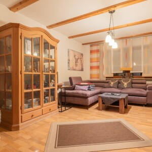 Wohnzimmer (1)