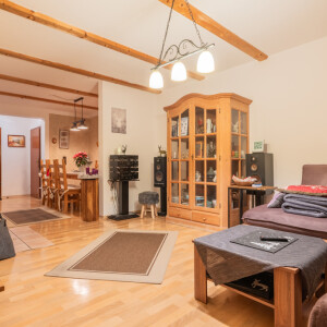 Wohnzimmer (2)