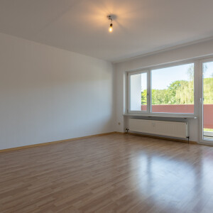 Wohnzimmer (1)