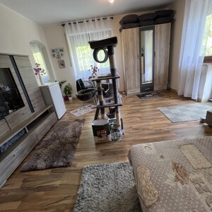 Wohn-Schalfbereich (2)