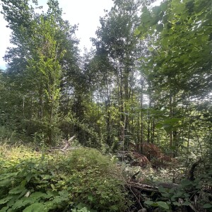 Ansicht (1)