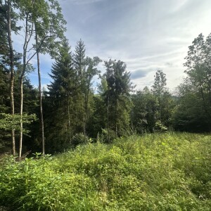 Ansicht (3)