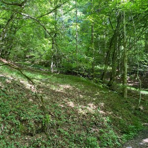 Foto2