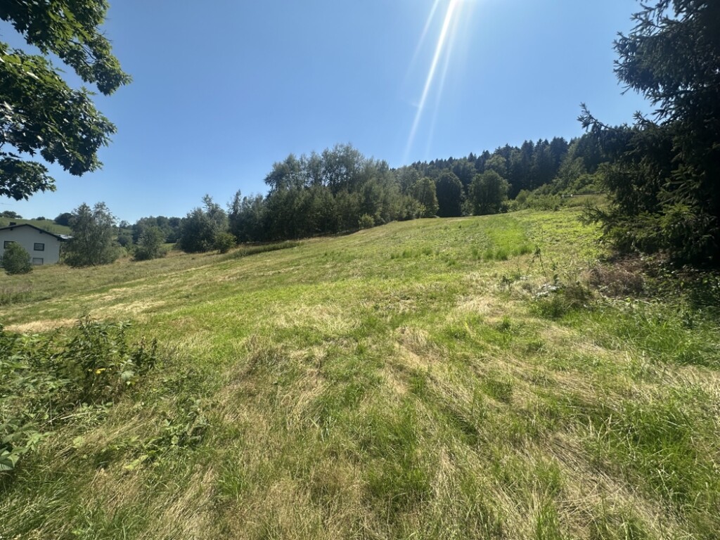 Wiesengrundstücke Stadtrand Freyung