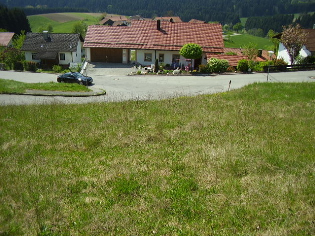 Baugrund - Baugrundstück mit Alpenblick Nähe Büchlberg/Denkhof   