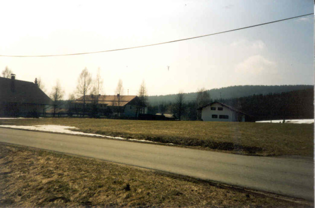 Baugrundstück - Voll erschlossenes Baugrundstück in Haidmühle/Randlage