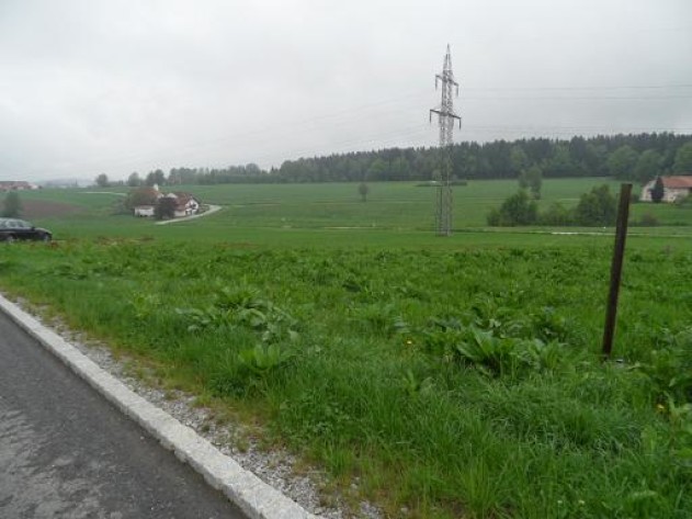 Baugrundstück - Voll erschlossenes Baugrundstück in Liebhaberlage zwischen Kellberg und Untergriesbach in Rackling
