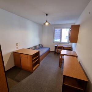 Wohn-Schlafbereich (1)