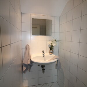 Toilette (1)