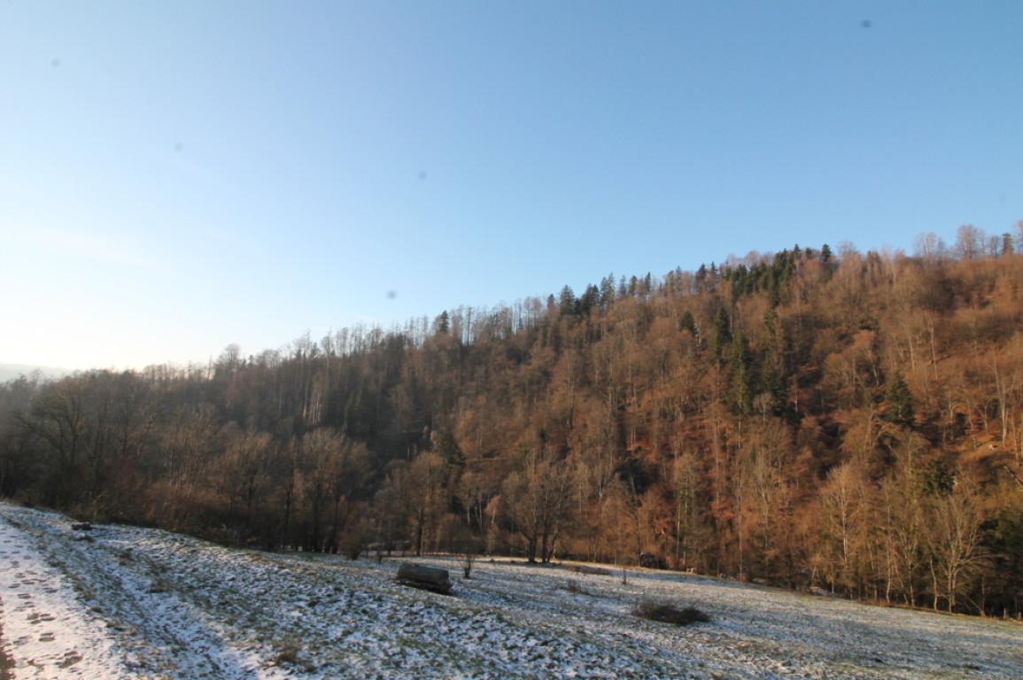 Obernzell - Obernzell: 35.684 m² landwirtschaftliche Nutzfläche – Wiese – ideal auch als Ausgleichsfläche