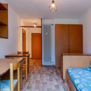 Wohn-Schlafbereich (2)